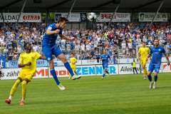 StuttgarterKickers-TuS_05